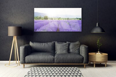 Plexiglas® Wall Art Meadow flowers nature purple