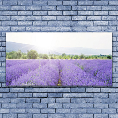 Plexiglas® Wall Art Meadow flowers nature purple
