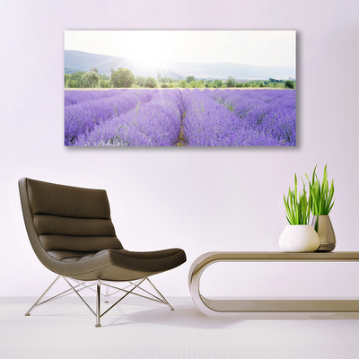 Plexiglas® Wall Art Meadow flowers nature purple