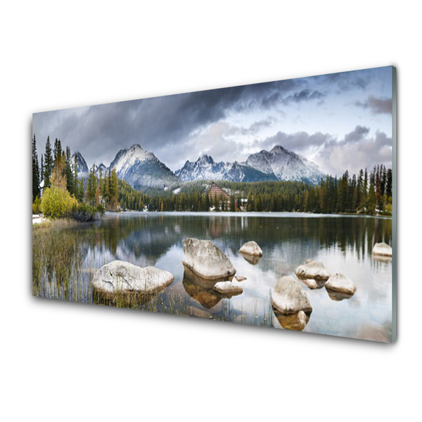 Plexiglas® Wall Art Mountain forest lake landscape grey brown green