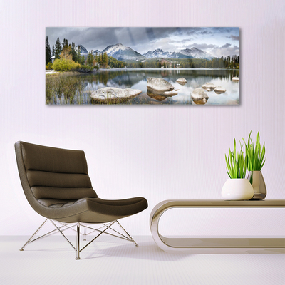 Plexiglas® Wall Art Mountain forest lake landscape grey brown green