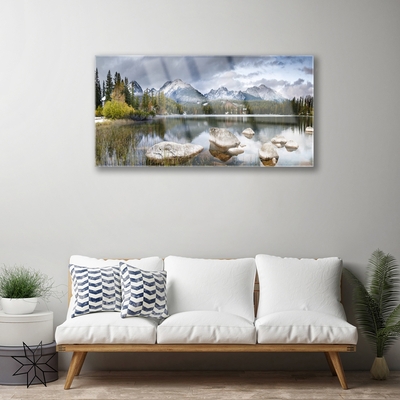 Plexiglas® Wall Art Mountain forest lake landscape grey brown green