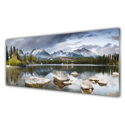 Plexiglas® Wall Art Mountain forest lake landscape grey brown green