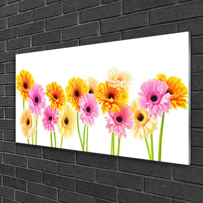 Plexiglas® Wall Art Flowers floral yellow pink green