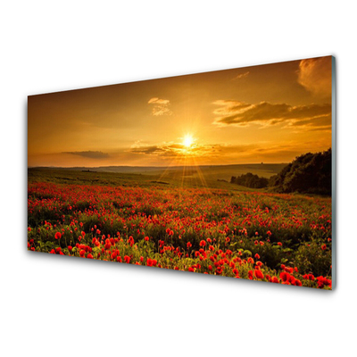 Plexiglas® Wall Art Lake meadow flowers nature yellow green red