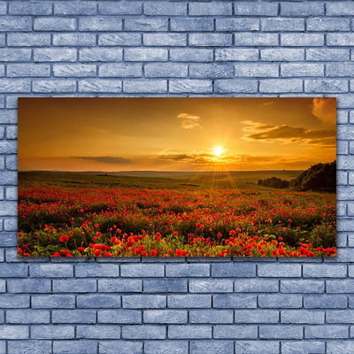 Plexiglas® Wall Art Lake meadow flowers nature yellow green red