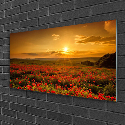 Plexiglas® Wall Art Lake meadow flowers nature yellow green red