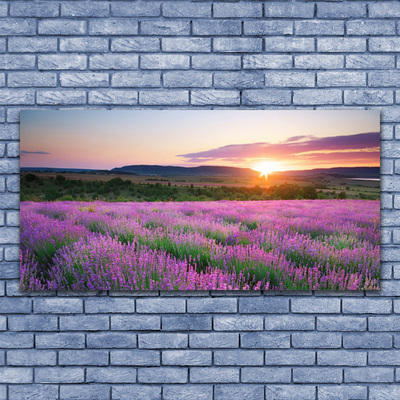 Plexiglas® Wall Art Sun meadow flowers nature yellow pink green