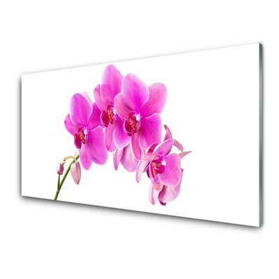 Plexiglas® Wall Art Flowers floral pink