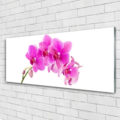 Plexiglas® Wall Art Flowers floral pink