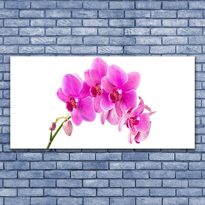 Plexiglas® Wall Art Flowers floral pink