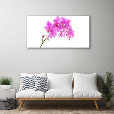 Plexiglas® Wall Art Flowers floral pink