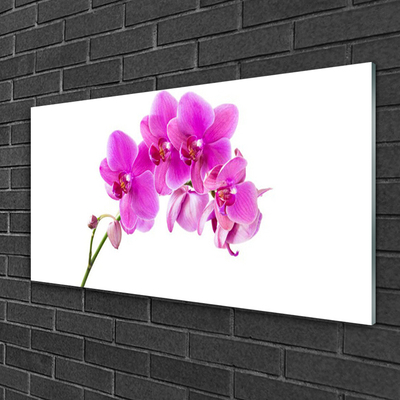 Plexiglas® Wall Art Flowers floral pink