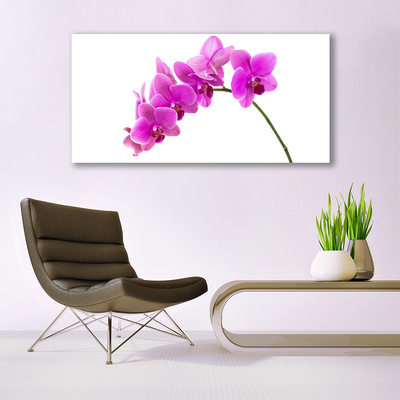 Plexiglas® Wall Art Flowers floral pink