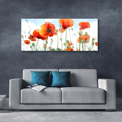 Plexiglas® Wall Art Poppies floral red