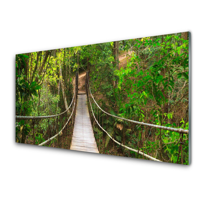 Plexiglas® Wall Art Bridge forest nature brown green