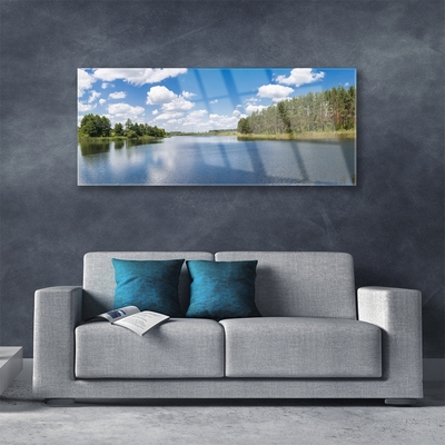 Plexiglas® Wall Art Forest lake landscape green blue