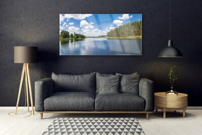 Plexiglas® Wall Art Forest lake landscape green blue