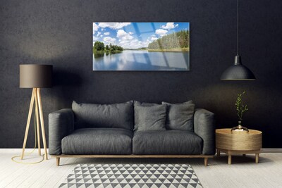 Plexiglas® Wall Art Forest lake landscape green blue