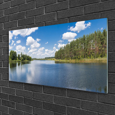 Plexiglas® Wall Art Forest lake landscape green blue