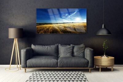 Plexiglas® Wall Art Field sky nature yellow blue white