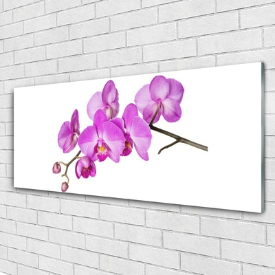 Plexiglas® Wall Art Flowers floral pink