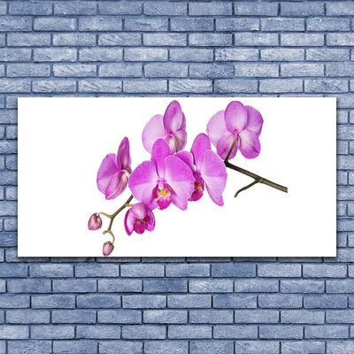 Plexiglas® Wall Art Flowers floral pink