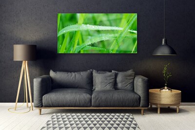 Plexiglas® Wall Art Grass nature green