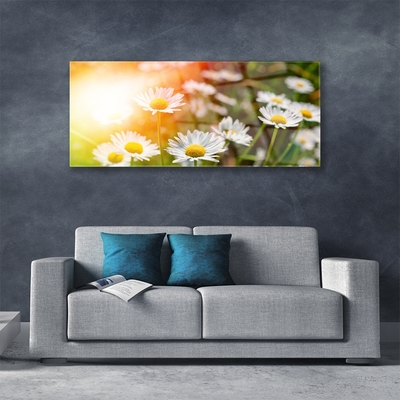 Plexiglas® Wall Art Daisy floral yellow white green