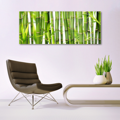 Plexiglas® Wall Art Bamboo stalks floral green