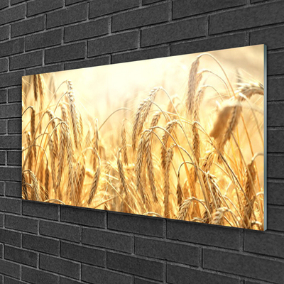 Plexiglas® Wall Art Wheat floral yellow