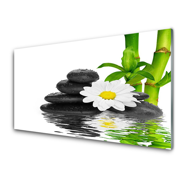 Plexiglas® Wall Art Bamboo tube flower stones floral green white black