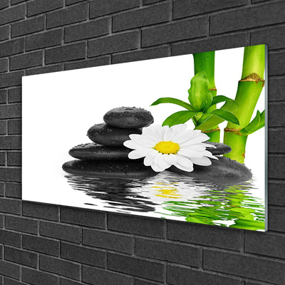 Plexiglas® Wall Art Bamboo tube flower stones floral green white black