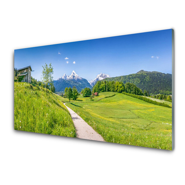 Plexiglas® Wall Art Meadow footpath nature green brown