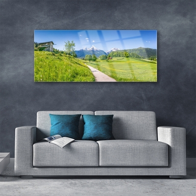 Plexiglas® Wall Art Meadow footpath nature green brown