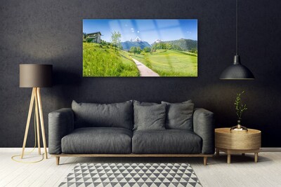 Plexiglas® Wall Art Meadow footpath nature green brown