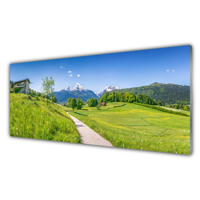 Plexiglas® Wall Art Meadow footpath nature green brown