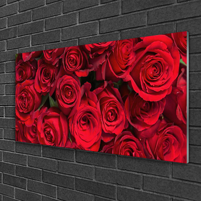 Plexiglas® Wall Art Roses floral red