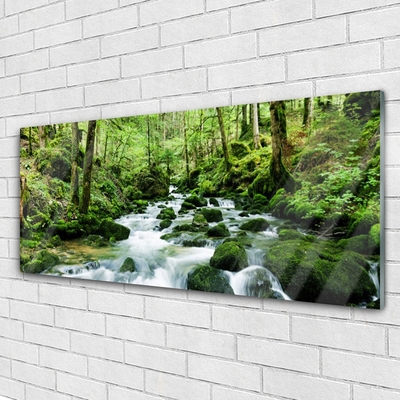 Plexiglas® Wall Art Forest lake stones nature brown green white