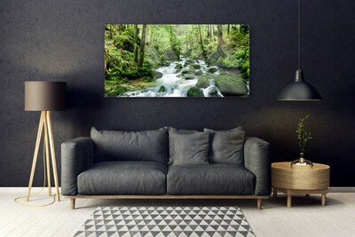 Plexiglas® Wall Art Forest lake stones nature brown green white