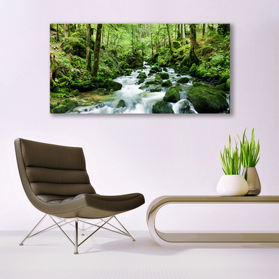 Plexiglas® Wall Art Forest lake stones nature brown green white