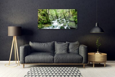 Plexiglas® Wall Art Forest lake stones nature brown green white