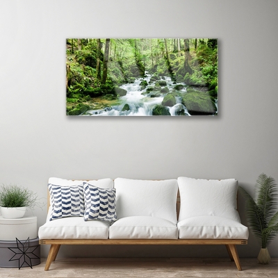 Plexiglas® Wall Art Forest lake stones nature brown green white