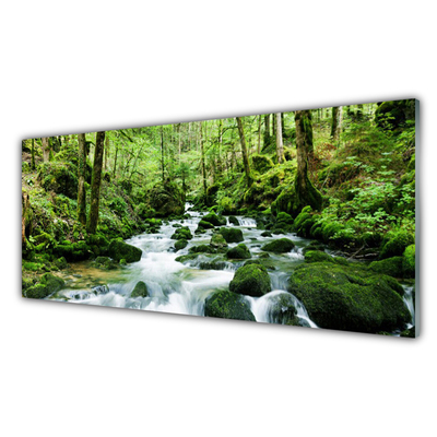 Plexiglas® Wall Art Forest lake stones nature brown green white