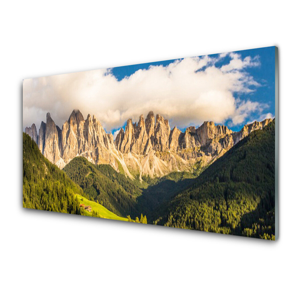 Plexiglas® Wall Art Mountains landscape brown green