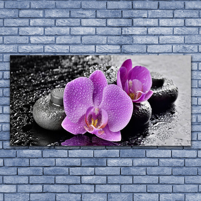 Plexiglas® Wall Art Flower stones floral pink black grey