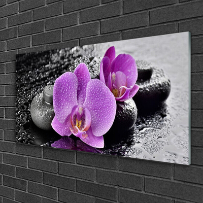 Plexiglas® Wall Art Flower stones floral pink black grey