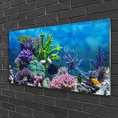 Plexiglas® Wall Art Coral reef nature multi