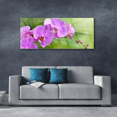 Plexiglas® Wall Art Flowers houses pink