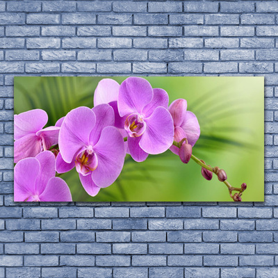 Plexiglas® Wall Art Flowers houses pink